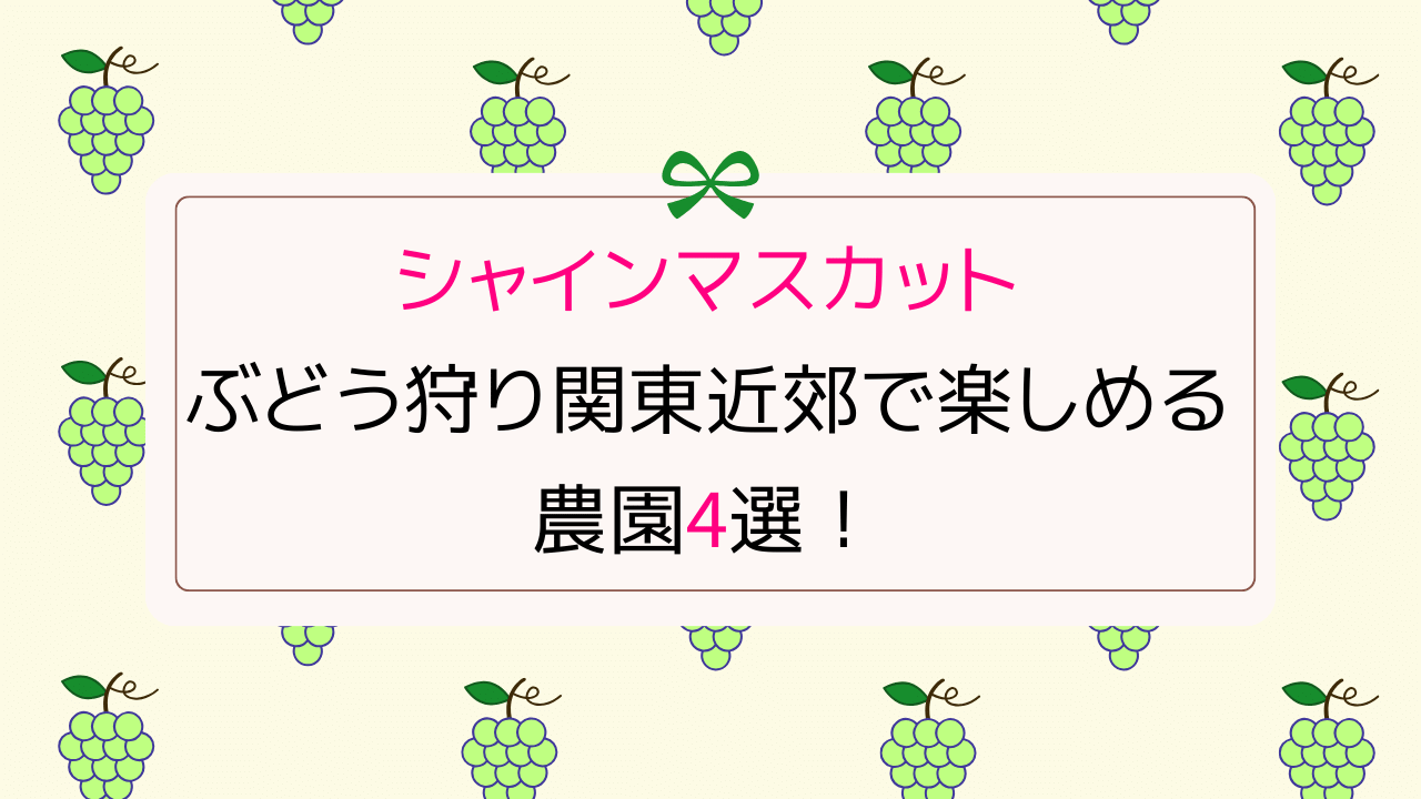 ぶどう狩り関東近郊2023シャインマスカットが楽しめる農園4選！