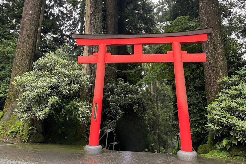 箱根神社の鳥居 