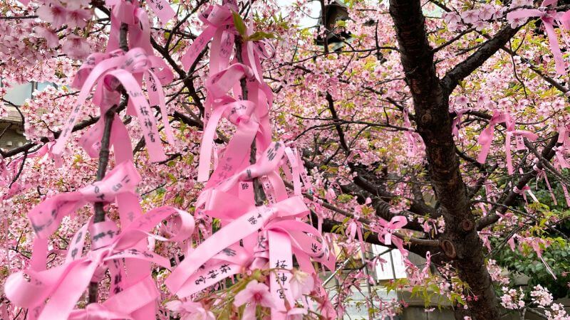 桜神宮 縁結びピンクリボン